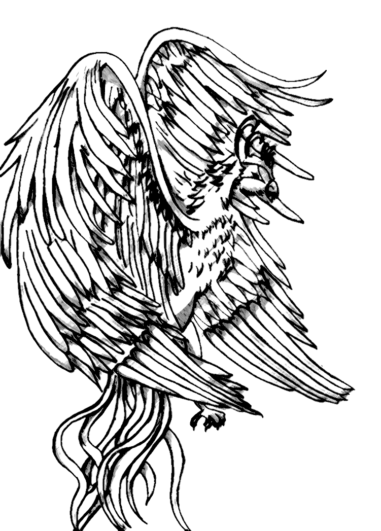 dessin d'un phenix en noir et blanc
